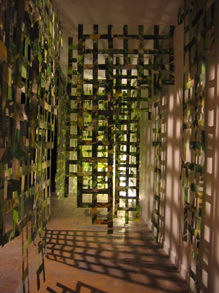 Forest (close-up), 2006