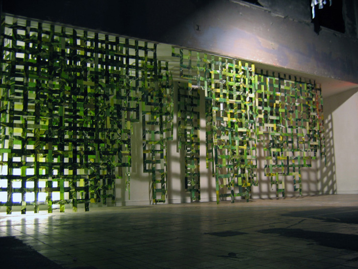 Forest, 2006